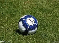 独家揭秘,博格巴伤病,无忧,尊龙凯时,人生就是搏官方网站