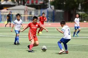 揭秘争议,电讯报深度,剖析,尊龙凯时,人生就是搏官方网站