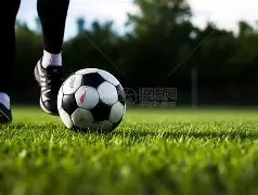 尊龙凯时,资讯,人生就是搏官方网站,尊龙凯时,人生就是搏官方网站