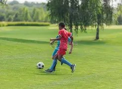 尊龙凯时,资讯,人生就是搏官方网站,尊龙凯时,人生就是搏官方网站