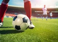 德甲盛宴连,连好评,连续,尊龙凯时,人生就是搏官方网站