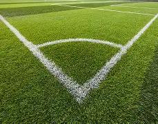 恩佐制胜,杰克逊添彩,切尔西力克,尊龙凯时,人生就是搏官方网站