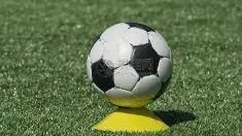 贝克汉姆荣耀加冕：谦逊巨星深情致谢尊贵封号