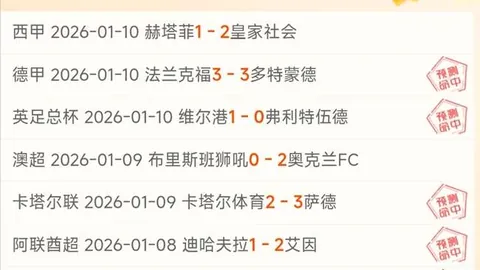 印尼荣耀！11胜8负大揭秘：头牌战况全知晓！🌟独家爆料！