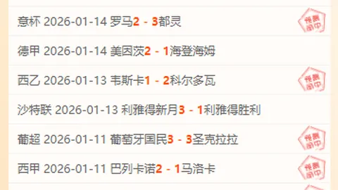帕尔马半场1-0领先博洛尼亚，博尼点球破门，铃木神扑守护球门