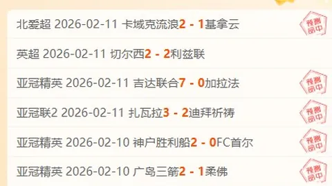 激战正酣！揭秘EPL周最佳风云：第二十五轮战况解析与亮点回顾