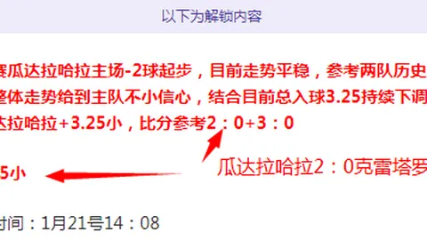 耐克阿迪成点球赢家：小蜘蛛视角引发千万关注揭秘